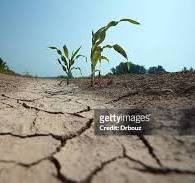 Segnalazione danni causati dalla siccità 2023 - SCADENZA 18 APRILE 2024