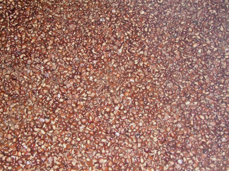 Castagne