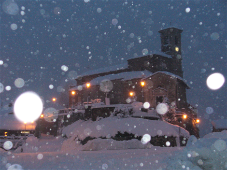 Scagnello sotto la neve