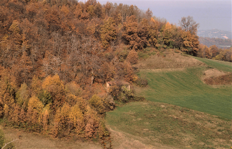 Collina