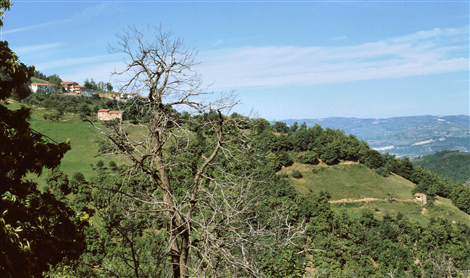 Panoramica