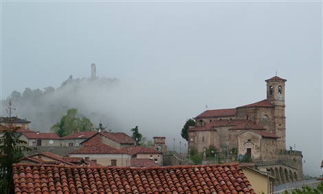 Scagnello nella nebbia