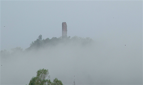 Scagnello nella nebbia
