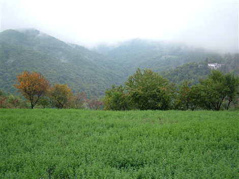 Panorama