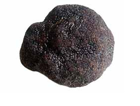 Il Tartufo Nero